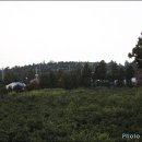 신효동-15 이미지