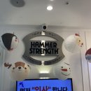 웨일PT&필라테스 | 재활필라테스 여성전용피티 여성전용필라테스 신상센터 동남지구필라테스 청주필라테스 청주개인필라테스