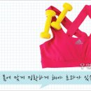 엑서사이즈 이미지