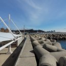 월내물양장 이미지