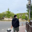 비트로남구