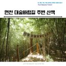 대숲여행 | 면천 대숲바람길 그리고 1100년 은행나무 주변산책