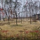 유성아파트 정문 앞 횡단보도 이미지