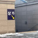 올리스 펫 쌀롱 | 도담동애견미용 올리스24세종점 펫살롱에서 컷트후기