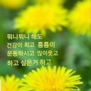 ＜984회 건강걷기회계보고＞5월 6일(토)봉산무장애숲길걷기 이미지