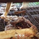 승환농장 이미지