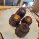 생명의 소리-202 이미지