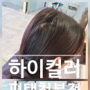 하이컬러 평택청북점 | 청북 염색 고민 끝! 하이컬러 평택청북점 새치염색 솔직 후기