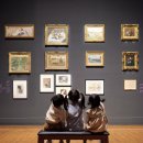 보스코호텔 이미지