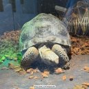 슬로우도 | [강남역 이색 카페] 슬로우커피 역삼점 방문 후기