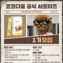 코코멍 이미지