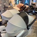 독도 | 베이비하우스 마마루 독도 쌍둥이 유모차 오토폴딩 후기