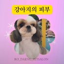 로댕펫살롱
