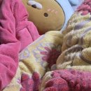 씨제이올리브영(주)광명하안점 | 십이월 첫째 주 일상