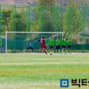 보성종합스포츠