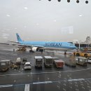 오토카하우스 | 제주여행 필수 렌트카 대여, 롯데렌터카 제주 오토하우스 이용 방법과 이용후기 알려드려요!