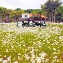 탐라신화공원 | 제주 동쪽 가볼만한곳 돌문화공원 하늘연못 샤스타데이지 명소 입장료 할인 전기차