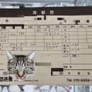 대학병원안경 | &#34;👓 북위례 안경존중 | 안경 처음이라면? ‘대학병원 출신 안경사’ 있는 이곳에서7!!!!