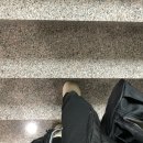 라이프디자인PT