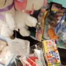 202412 부산여행 : 국제시장(겐짱카레), 보수동책방골목, 흰여울문화마을, 전포동소품샵(기푸토, 너굴...