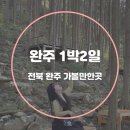 삼례칼국수 | 전북 완주 여행 코스 가볼만한곳 :: 상관 편백나무숲 송광사 삼례문화예술촌 포함