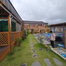 나정펜션 | 경주 애견펜션 추천! 감포별빛한옥 한옥스테이 솔직후기