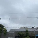 골프존 파크 클럽하우스 | &lt;대구/수성못&gt; 넓고 시설 좋은 스크린골프장 [골프존파크 뉴욕뉴욕]