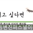 임실크헤어 네이버블로그