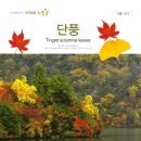 LH다사행복작은도서관 | LH주택공사 작은도서관 경산 사동 웃음치료 숟가락난타 수업 갑니다