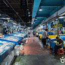 서울특별시마포구시설관리공단 이미지