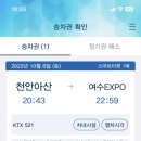 먹거리포차 - 속초시 먹거리5길 21 | 먹거리포차