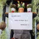 셔플보드카페 이미지