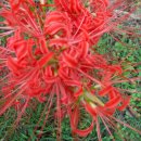 해남공원 이미지