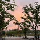 최상뒷고기 | 동탄 영천동 돼지고기 최상뒷고기 내돈내산 후기