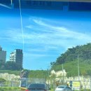 원산도엄마밥상 | [충남/보령] 세종에서 보령 당일치기 여행