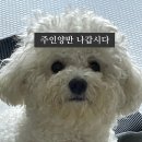 의정부농협고산하나로마트 | 서울 근교 당일치기 의정부 계곡, 포천 축산물판매장 고기 쇼핑