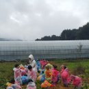 송수초교 병설유치원 이미지