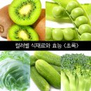 컬러별