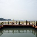 실리도 어촌계 (한마음1)낚시터 | 부산, 울산, 경남 유료낚시터 정보