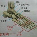 👣 발의 통증, 무심코 지나쳐서는 안 된다 이미지