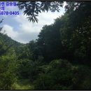 이현동4 이미지