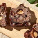 꼬dog꼬dog 이미지