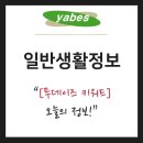 주식회사썬투어