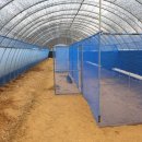 빈하우스 이미지