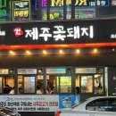 제주꽃돼지 이미지