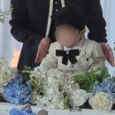 [돌준맘 일기#2] 남자 아기 돌 정장 대여 :: 슈슈클로젯 내돈내산 후기👶🏻👞
