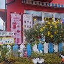 스위스마을114동 네이버블로그