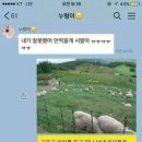 좋은친구다이어트 이미지
