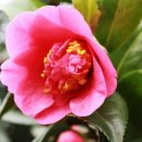 당호농장 이미지