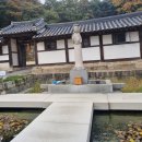 진접읍 광릉수목원로(봉선사 입구 ~ 남양주시계) | 봉선사 남양주 산책하기 좋은 곳 봉선사카페 연잎 가을여행 단풍놀이 남양주 봉선사 주차 요금